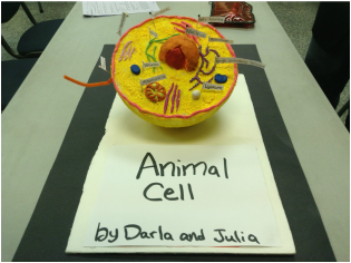 Cell Project - Mrs. Burnham's Class